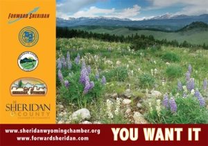 EDTF Calling Card - Front 